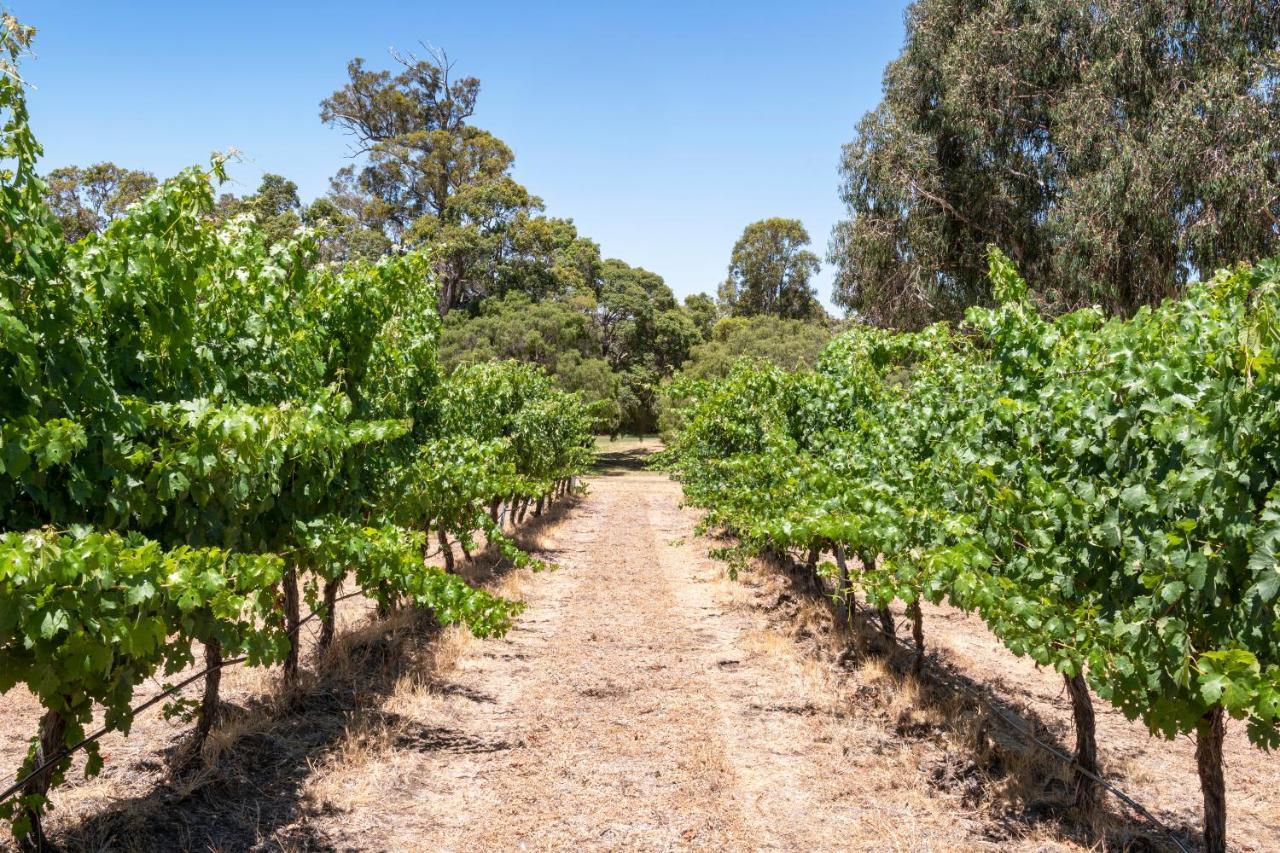 Island Brook Estate Vineyard And Chalets Yelverton Bagian luar foto