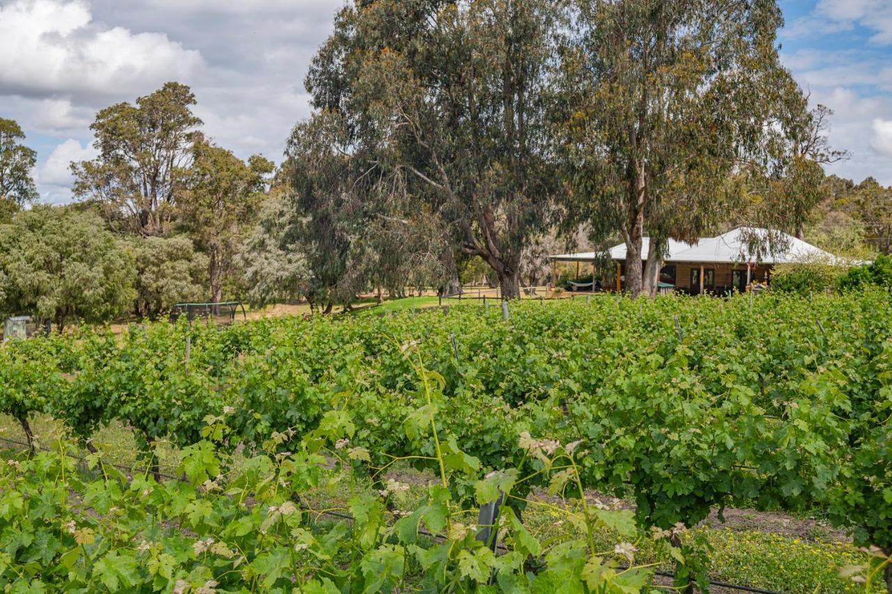 Island Brook Estate Vineyard And Chalets Yelverton Bagian luar foto